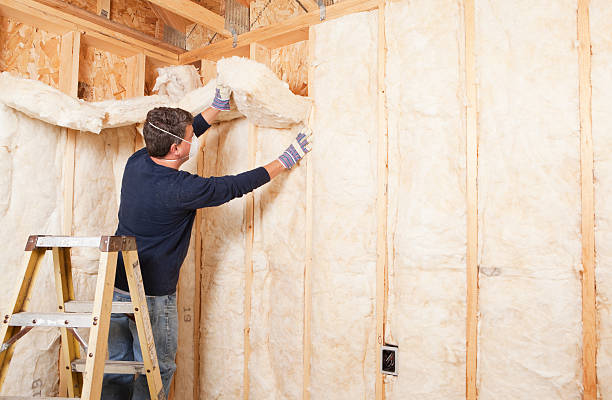 Best Attic Insulation Installation in Roslyn, NY